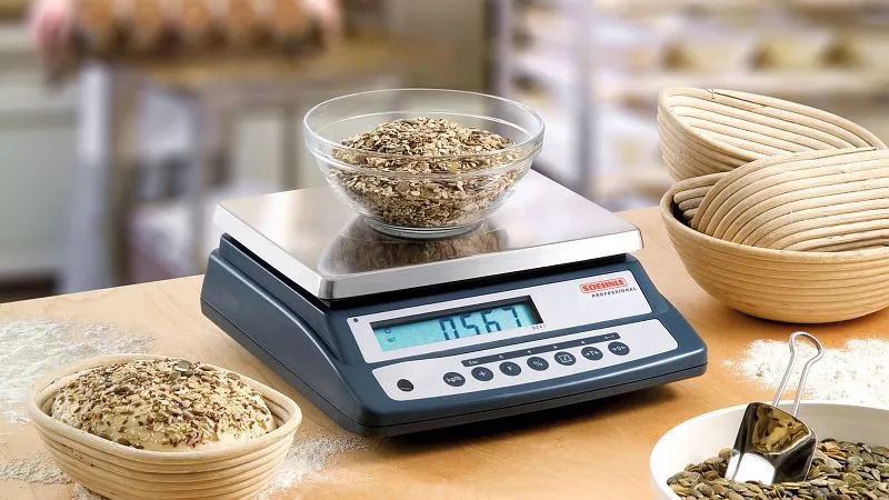 Balance compacte Soehnle charge maximale : 30 kg incrément de chiffres : 1 g 300 x 225 mm IP54 9241.04.001 acheter à bas prix 