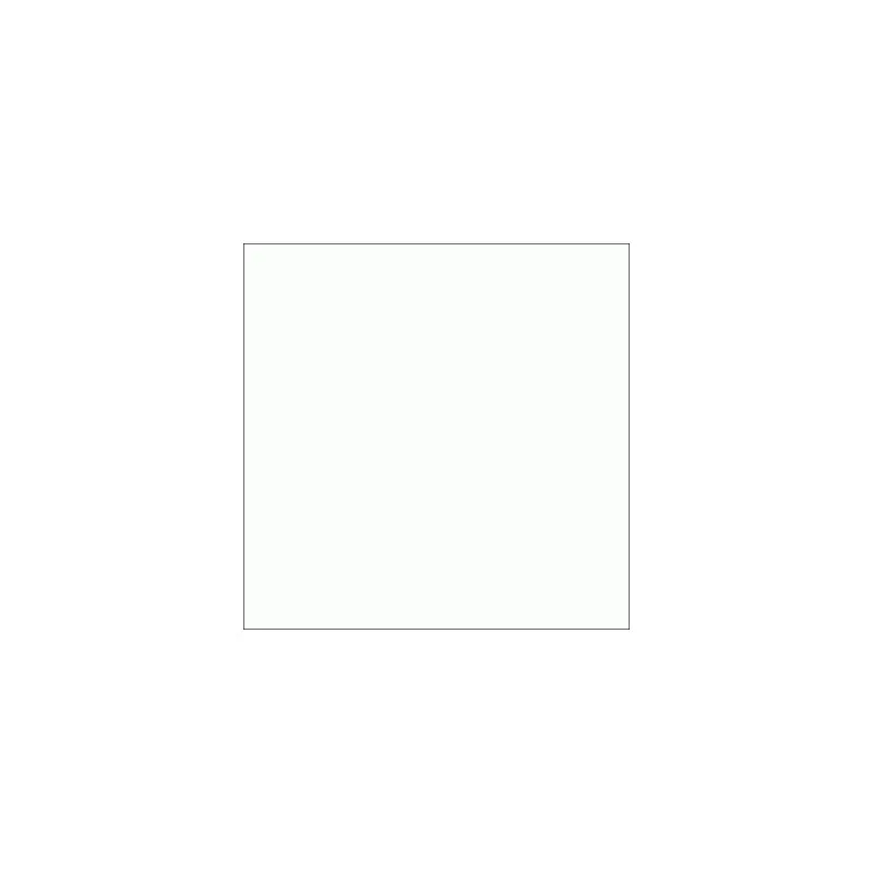 Kaldewei baignoire acier émaillé  Ambiente  Puro Star 658 1700x750mm: 255830003001