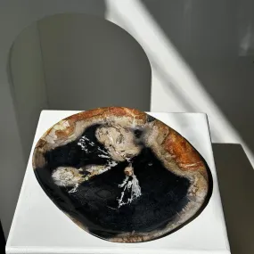 Large pocket or dish in petrified wood