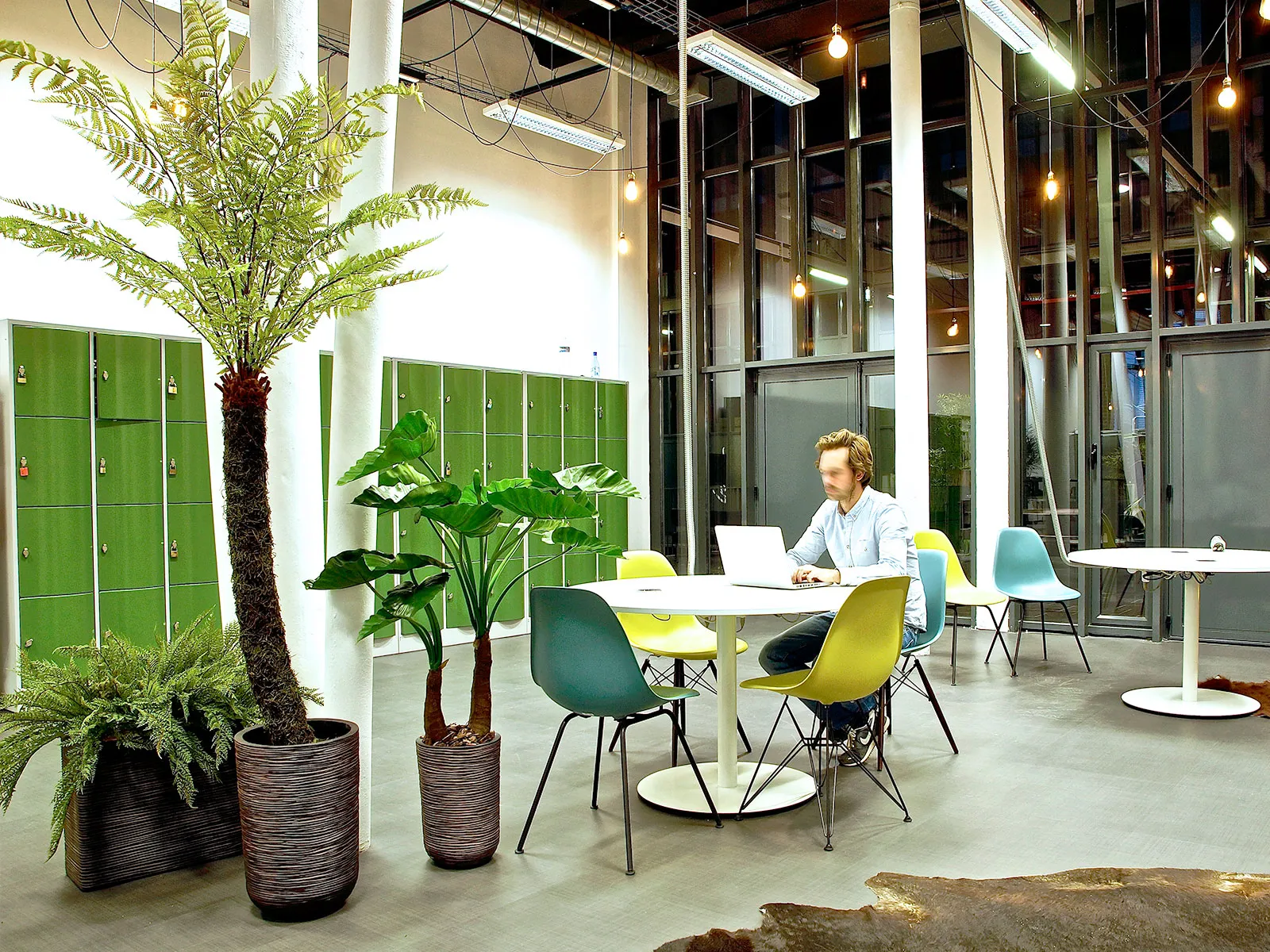 Plante artificielle l'Arbre Fougère H175 cm - Tanaman