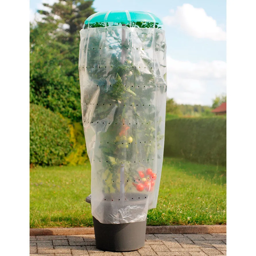 Protection pour tomates, lot de 2 ⋆ Lehner Versand